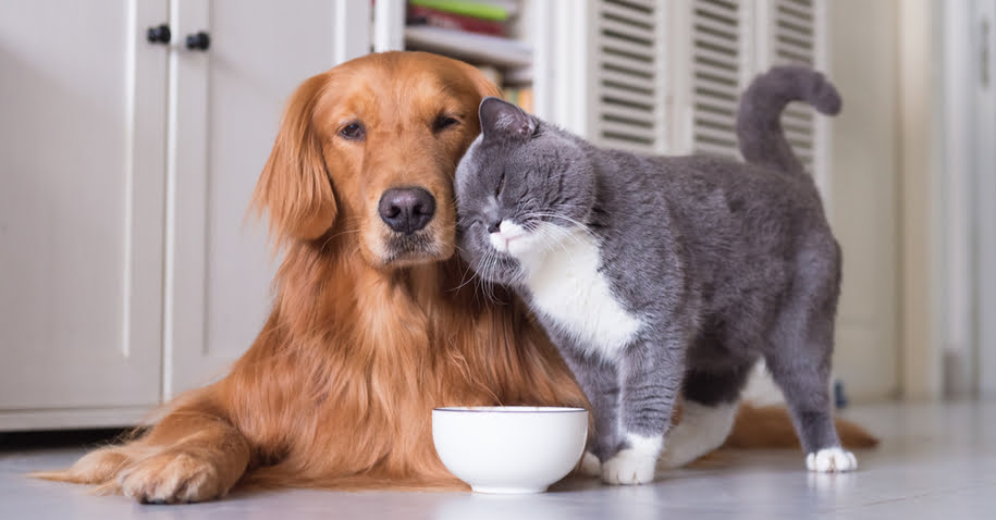 shutterstock 735819208